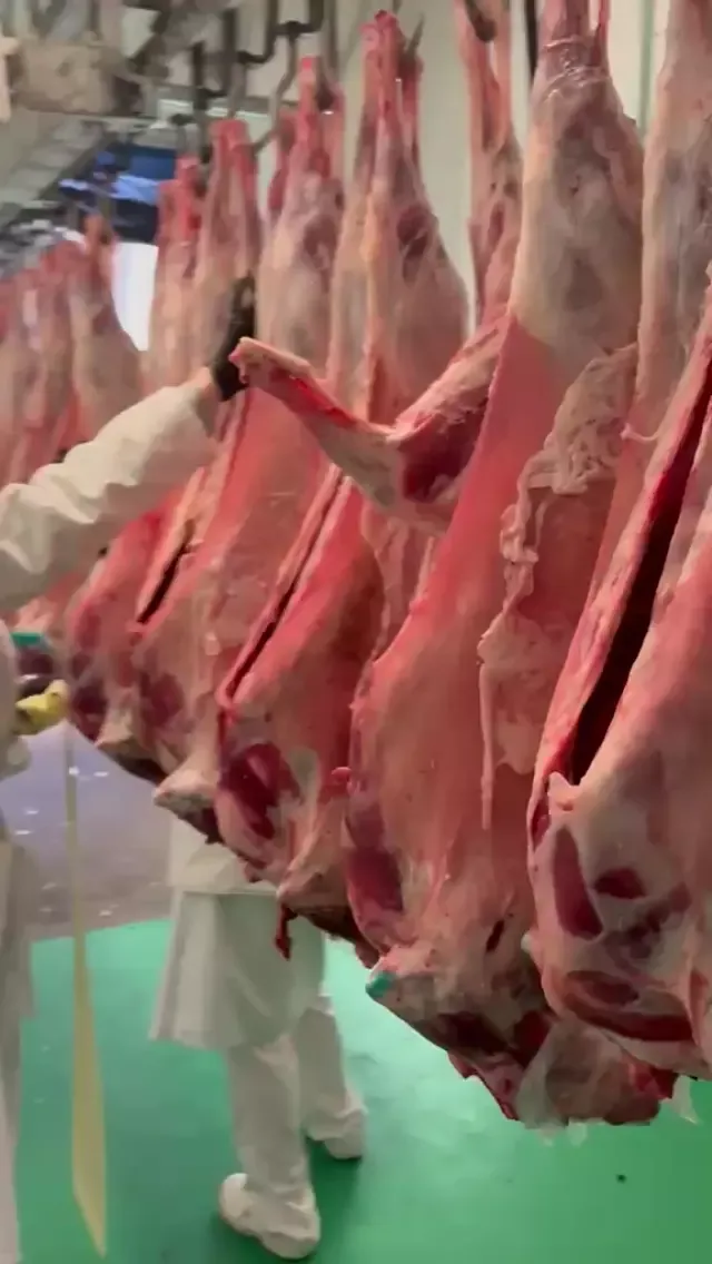 Whole Lamb 2