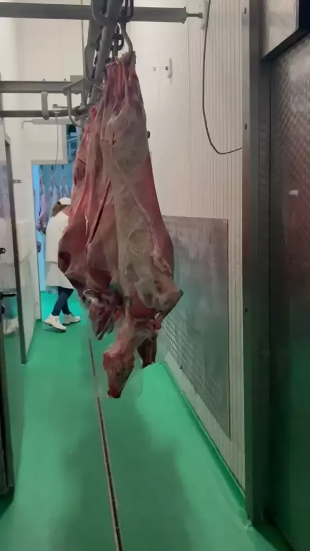 Light lambs, 10-17kg 8
